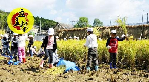 黑龙江农场爆料事件最新,揭露背后惊人真相  第2张